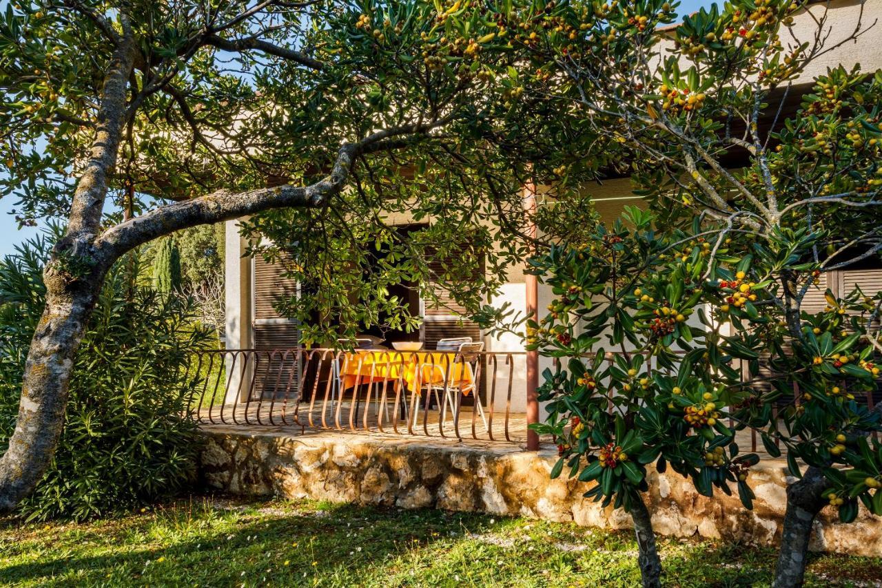 Helios Sunny Apartments By Valamar Stari Grad  Extérieur photo
